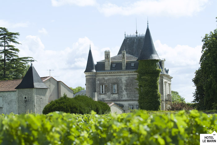 Wine tours in the Medoc