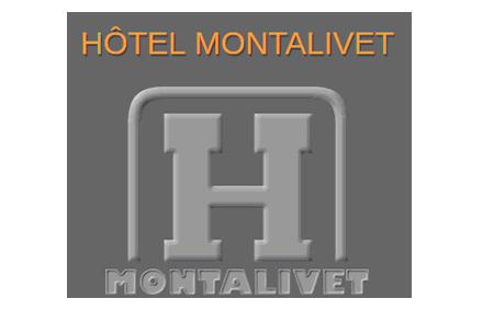 hotel-montalivet.com